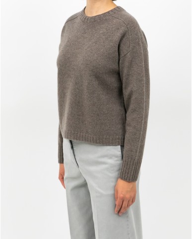 Arovescio - Maglia Girocollo Lana Nocciola Donna W1615/06 112 COCCO I25