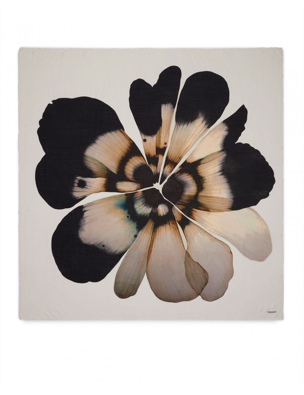 Faliero Sarti - Sciarpa Fiorellina Beige Donna 2001 99990 BEIGE P26